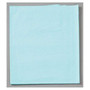 Exam / Stretcher Drape Sheet 40 in x 48 in 2 Ply Blue 100/Case