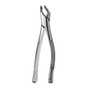 Extracting Forceps Apical Lower Universal  (FAF151)