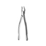 Extracting Forceps Apical Upper Universal  (FAF150)