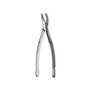 Extracting Forceps Upper And Lower Premolars And Deciduous Universal Hull  (F101)