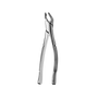 AF151 Apical Lower Universal Extraction Forcep