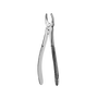 18 Serrated Upper Molars Extraction Forcep