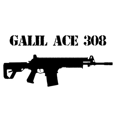 Galil ACE 308 - Featureless Conversion