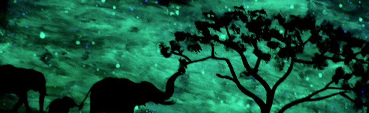 Glow in the Dark Pigment, Paint & More