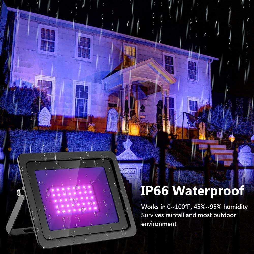 UV Backlights  Purple Lasers & Flood Lights