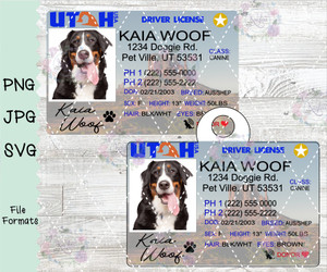 Pet ID Tag Inspired by Utah Drivers License Digital Download Pet ID Tag Inspired by Utah Drivers License Digital Download