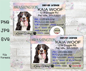 Pet ID Tag Inspired by Washington Drivers License Digital Download Pet ID Tag Inspired by Washington Drivers License Digital Download