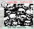 Skulls SVG Tumbler Template Digital Download