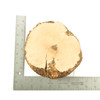 Mimmo Briar Burl Bowl Slice One-Off 02289