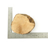 Mimmo Briar Burl Bowl Slice One-Off 02371