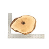 Mimmo Briar Burl Bowl Slice One-Off 02402