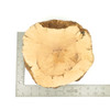 Mimmo Briar Burl Bowl Slice One-Off 02409