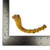 Crazy Bamboo Root One-Off 02850