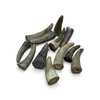 Buffalo and Ox Horn Tips Small