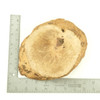 Mimmo Briar Burl Bowl Slice One-Off 02938