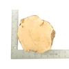 Mimmo Briar Burl Bowl Slice One-Off 02399