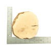 Mimmo Briar Burl Bowl Slice One-Off 022940