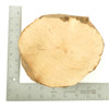Mimmo Briar Burl Bowl Slice One-Off 02941