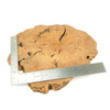 Italian Briar Root Burl Slab One-Off 00413