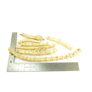 Bamboo Assortment Yellow One-Off 01129