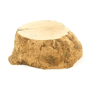 Mimmo Briar Burl Bowl Slice One-Off 02152