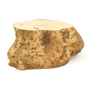 Mimmo Briar Burl Bowl Slice One-Off 02231