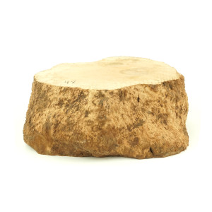 Mimmo Briar Burl Bowl Slice One-Off 02239