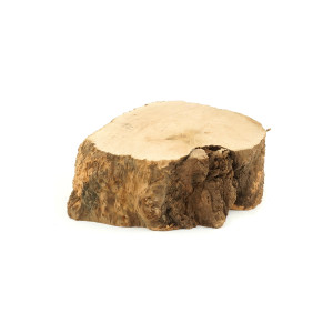 Mimmo Briar Burl Bowl Slice One-Off 02297