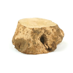 Mimmo Briar Burl Bowl Slice One-Off 02364