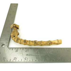 Crazy Bamboo Root One-Off 00750