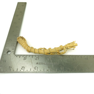 Crazy Bamboo Root One-Off 00756