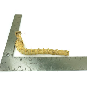 Crazy Bamboo Root One-Off 00762