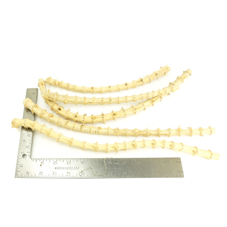 Bamboo Assortment Long Yellow One-Off 01122