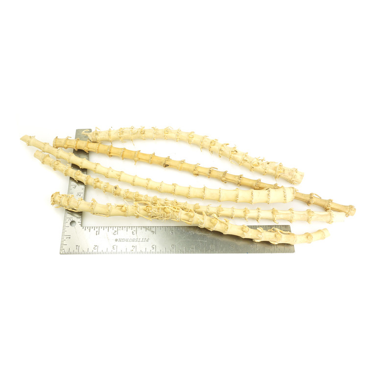 Bamboo Assortment Long Yellow One-Off 01124