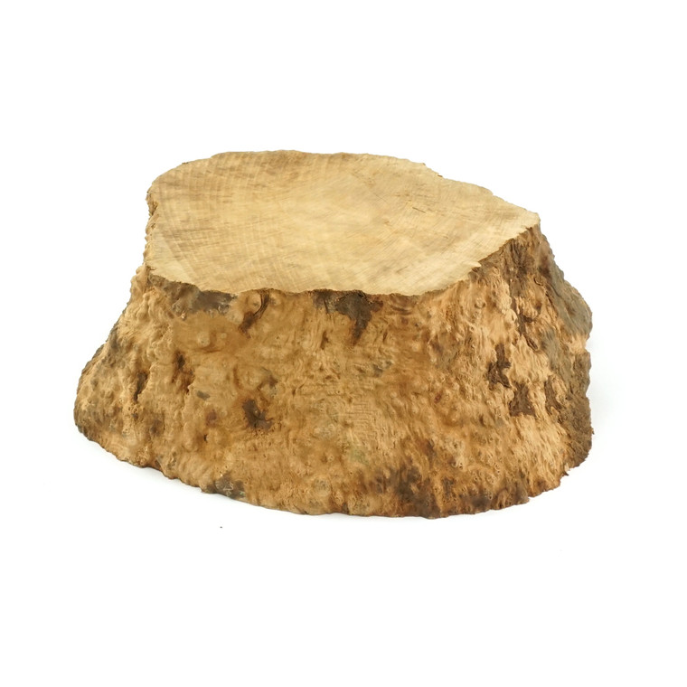 Mimmo Briar Burl Bowl Slice One-Off 02117