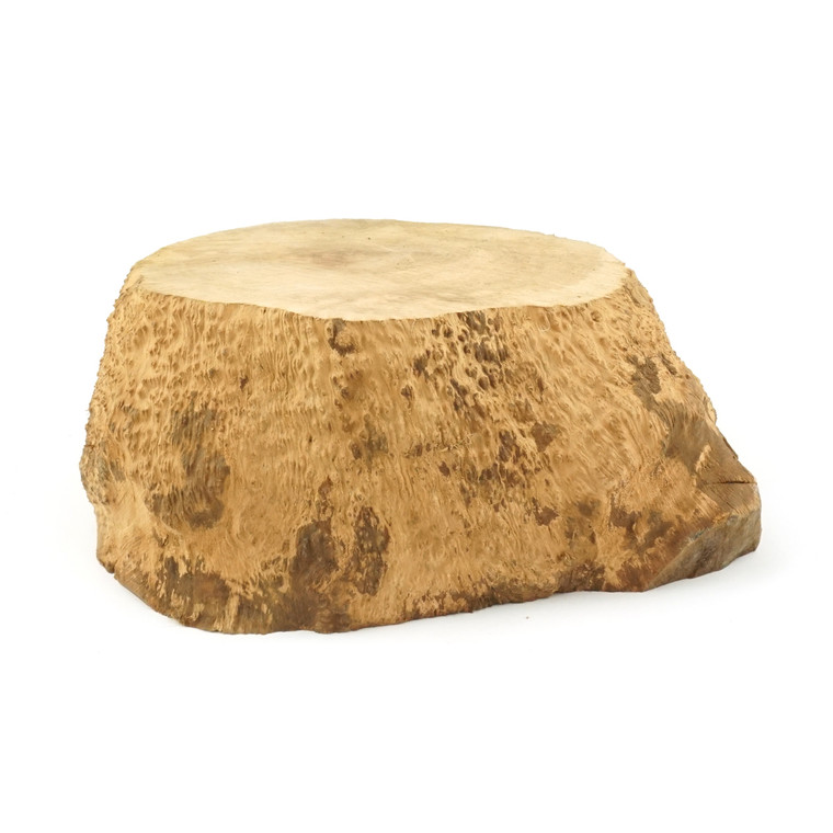 Mimmo Briar Burl Bowl Slice One-Off 02131