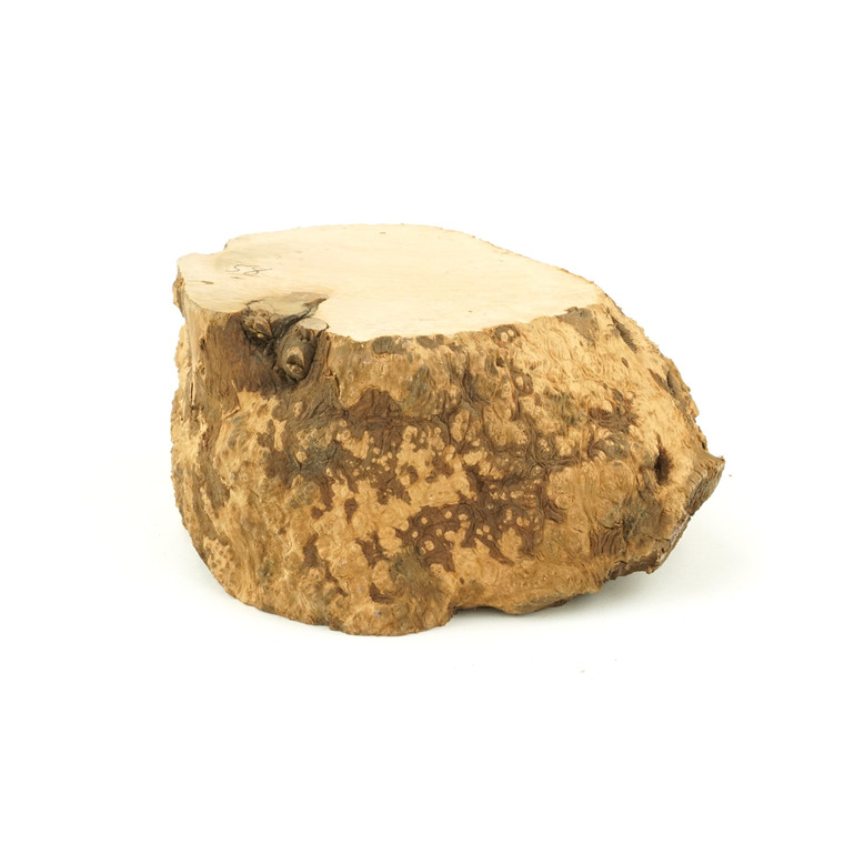 Mimmo Briar Burl Bowl Slice One-Off 02217