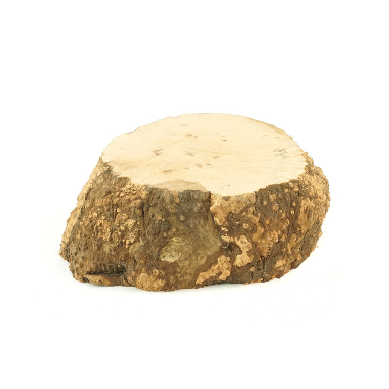 Mimmo Briar Burl Bowl Slice One-Off 02222