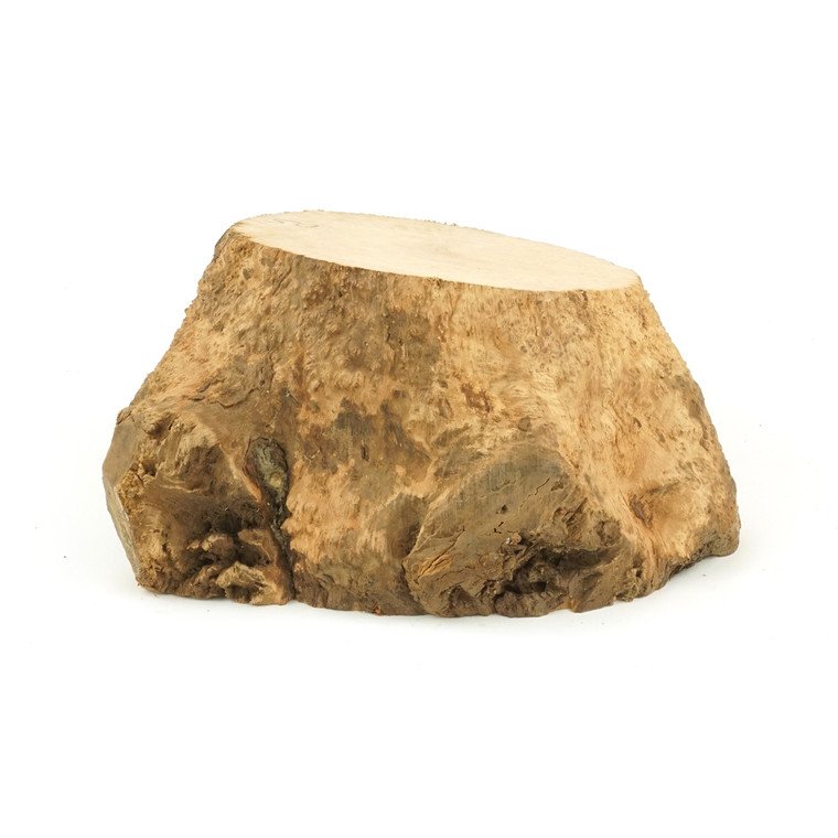 Mimmo Briar Burl Bowl Slice One-Off 02246