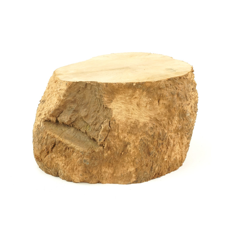 Mimmo Briar Burl Bowl Slice One-Off 02252