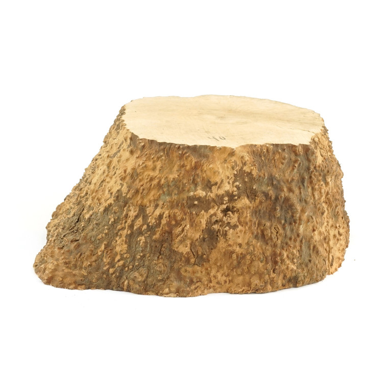 Mimmo Briar Burl Bowl Slice One-Off 02290