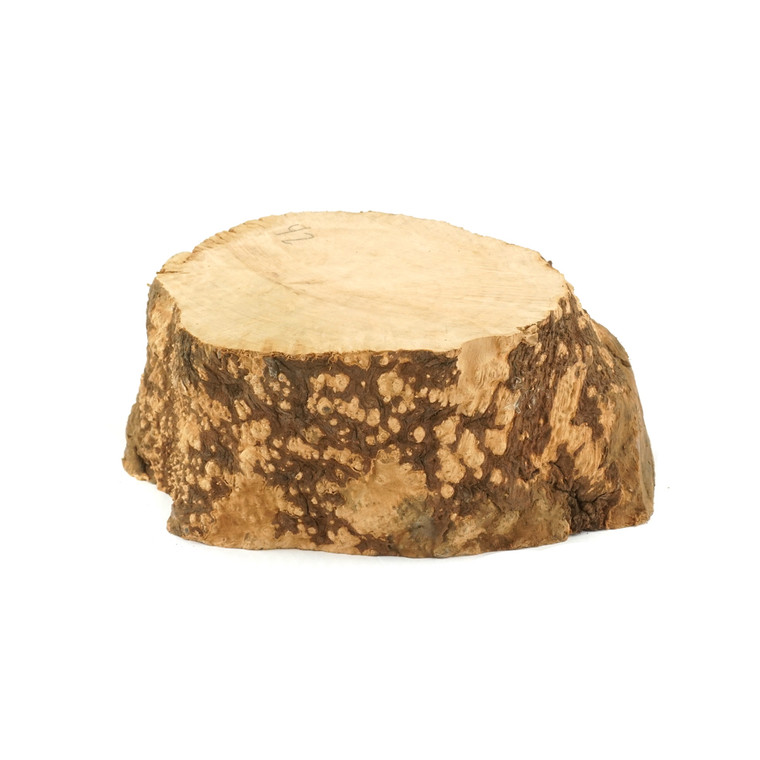 Mimmo Briar Burl Bowl Slice One-Off 02298