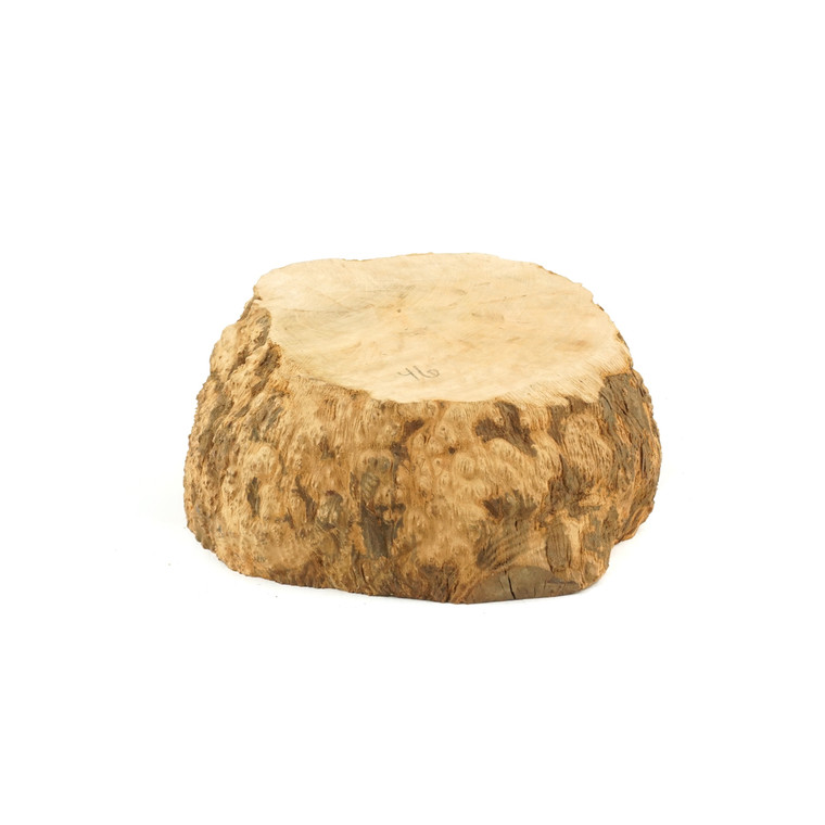 Mimmo Briar Burl Bowl Slice One-Off 02303