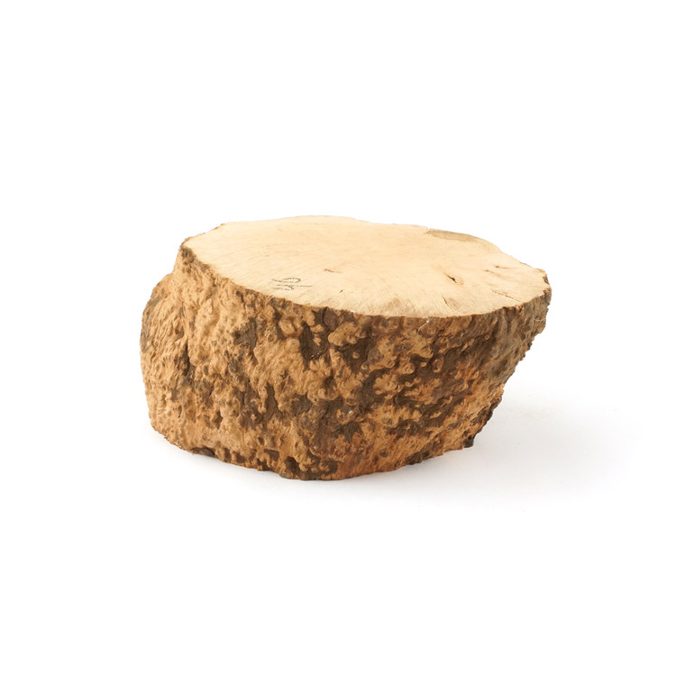 Mimmo Briar Burl Bowl Slice One-Off 02338