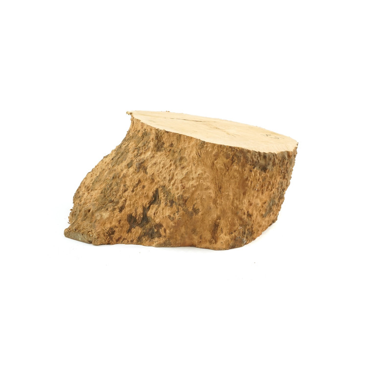 Mimmo Briar Burl Bowl Slice One-Off 02349