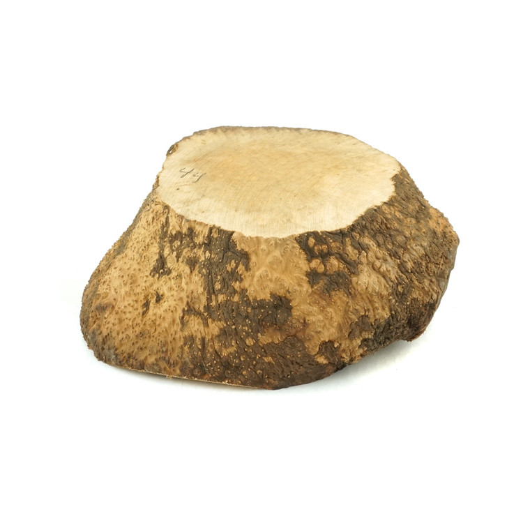 Mimmo Briar Burl Bowl Slice One-Off 02352