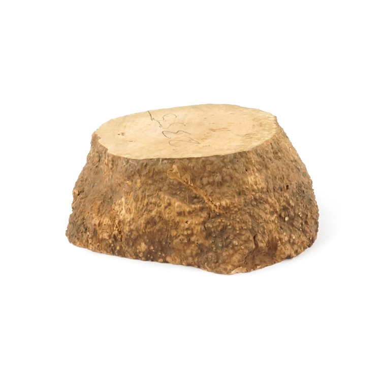 Mimmo Briar Burl Bowl Slice One-Off 02355