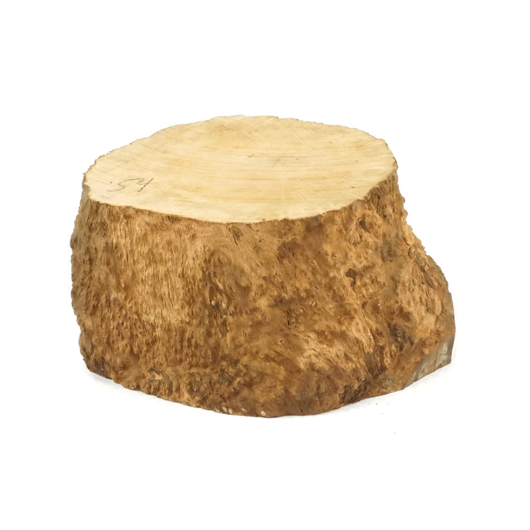 Mimmo Briar Burl Bowl Slice One-Off 02365