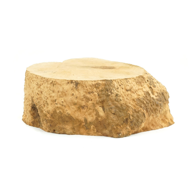 Mimmo Briar Burl Bowl Slice One-Off 02378