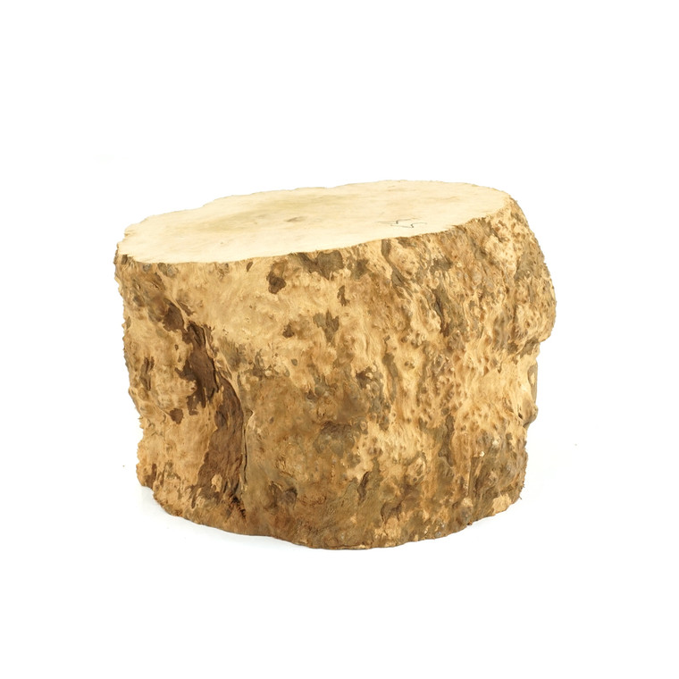 Mimmo Briar Burl Bowl Slice One-Off 02383